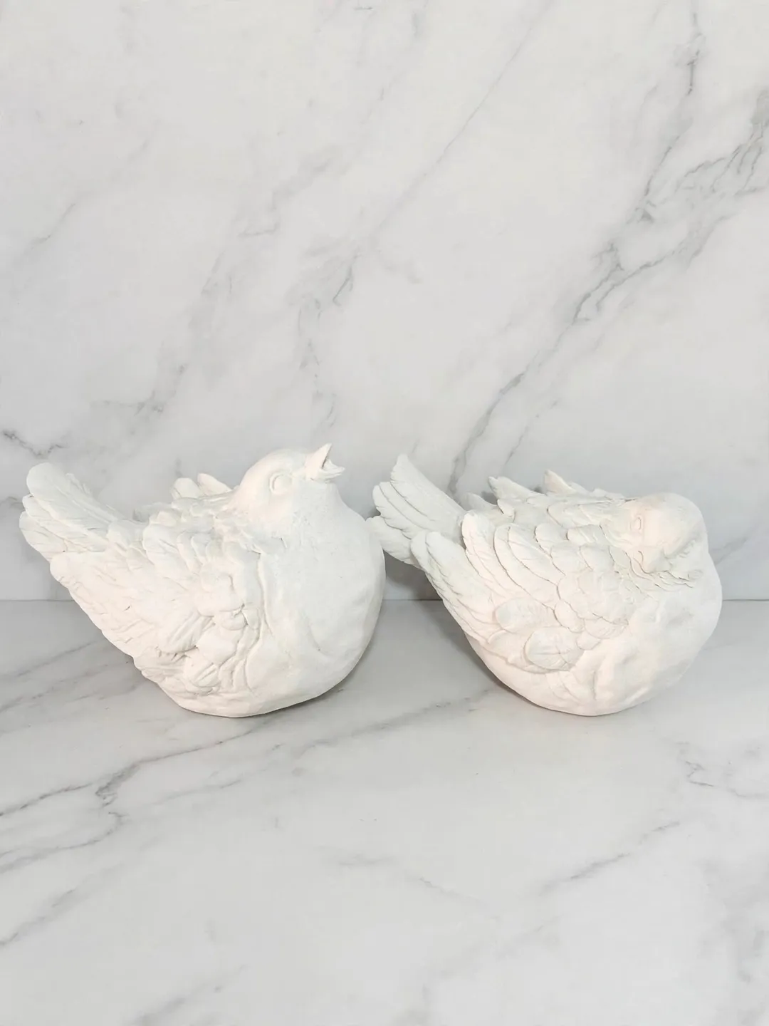 Pareja de pájaros cantores — view 1