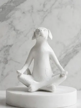 Perro en Postura de Yoga