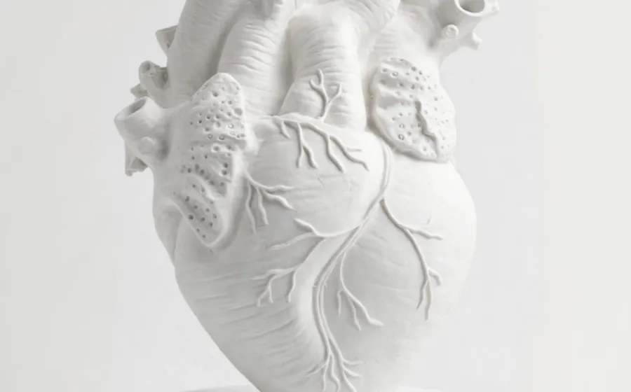 Corazón Anatómico Humano - Figura de marmolina
