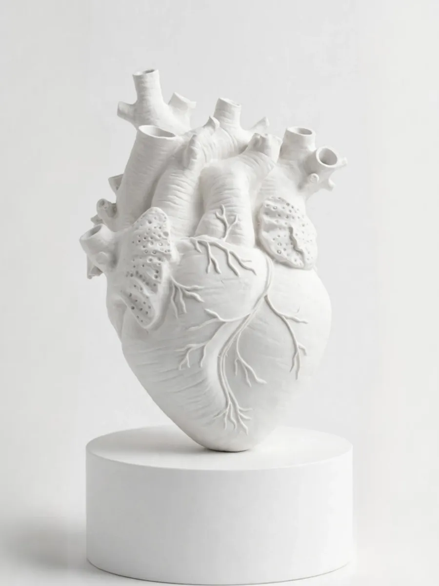 Pieza 29 — Corazón Anatómico Humano